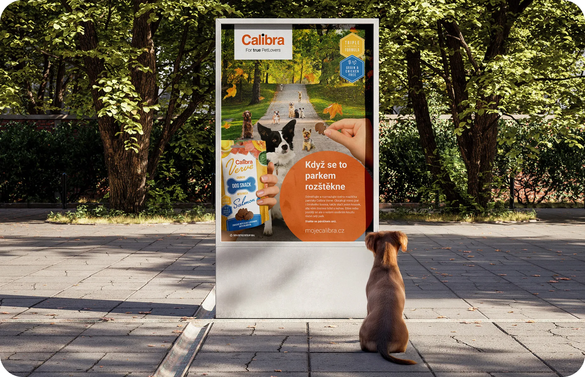 Calibra Verve dog snack poster in a park with a dog sitting in front of it